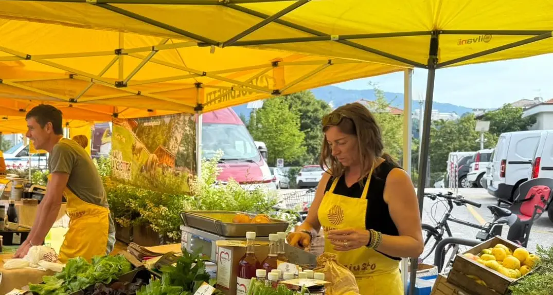 Coldiretti Trentino Alto Adige contro l’Ue: «Cibi ultraformulati ancora nelle mense pubbliche»