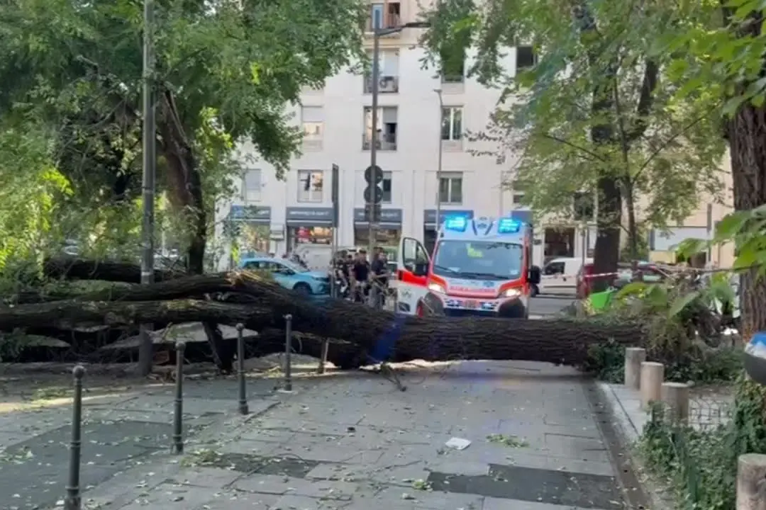 Milano, albero cade in piazza Risorgimento: tre feriti lievi