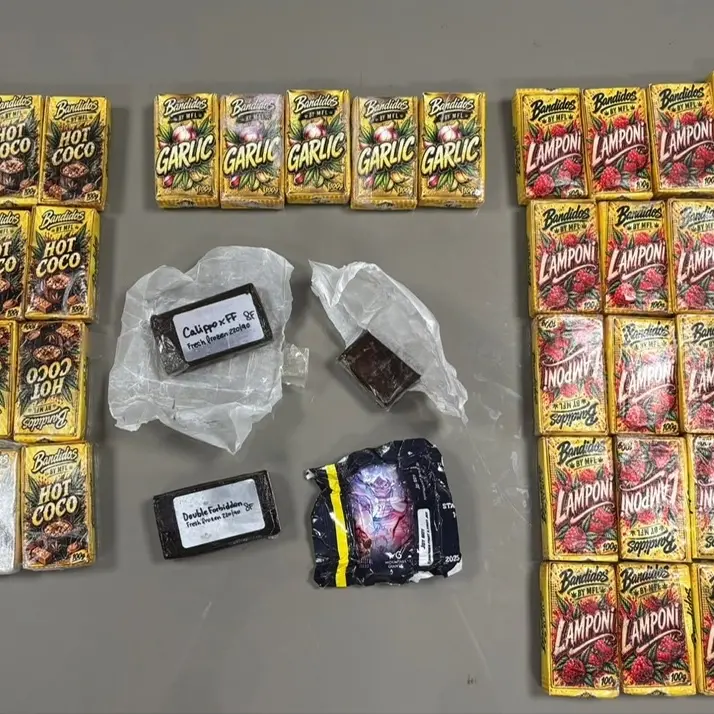 Alto Garda, oltre 5 chili di hashish nascosti nell’auto: due arrestati