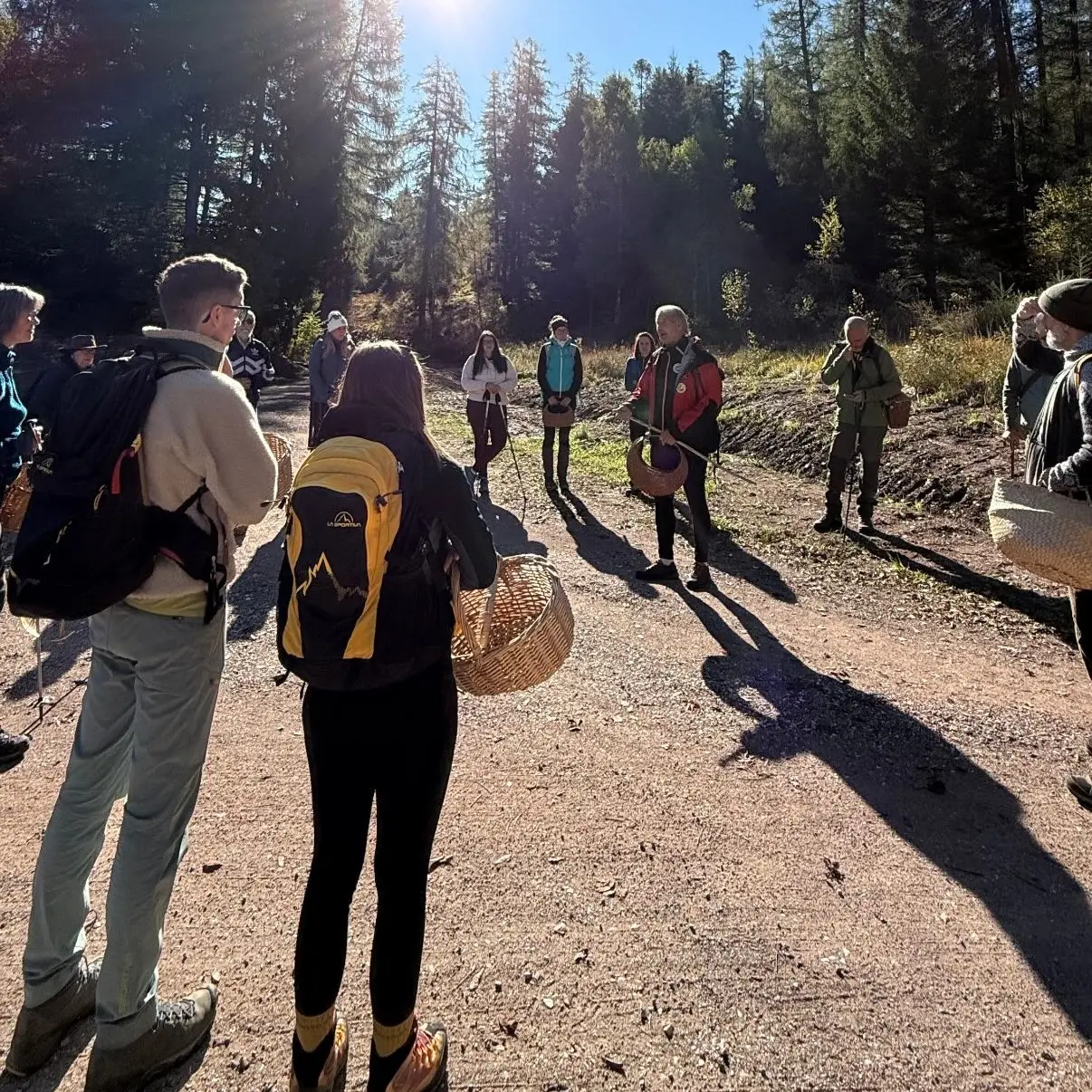 Il festival dei funghi torna in Val di Fiemme: sei giorni tra scienza e cucina