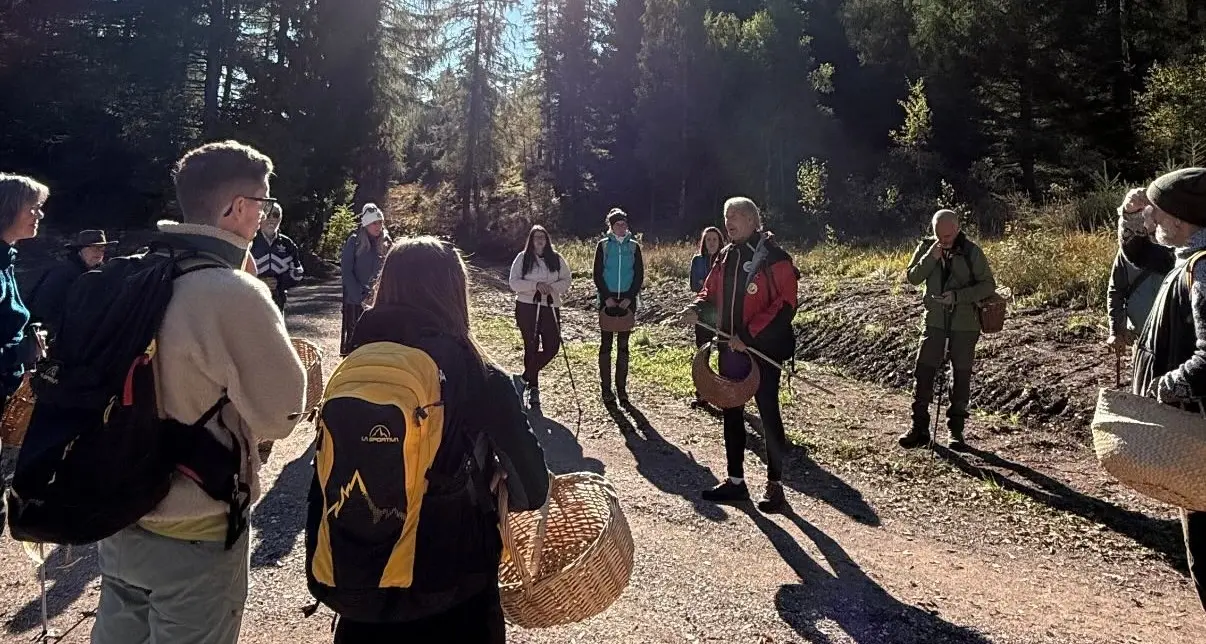Il festival dei funghi torna in Val di Fiemme: sei giorni tra scienza e cucina