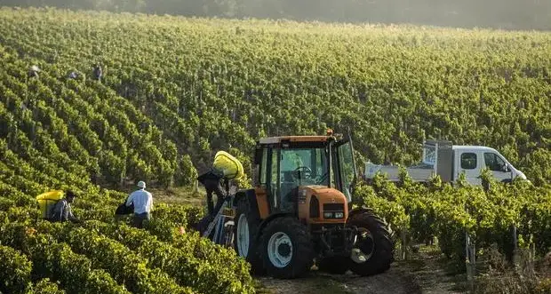 Fertilizzanti, allarme Coldiretti: «Con il Cbam rischio stangata per gli agricoltori»