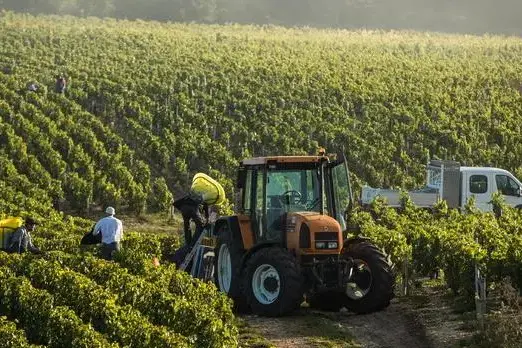 Fertilizzanti, allarme Coldiretti: «Con il Cbam rischio stangata per gli agricoltori»