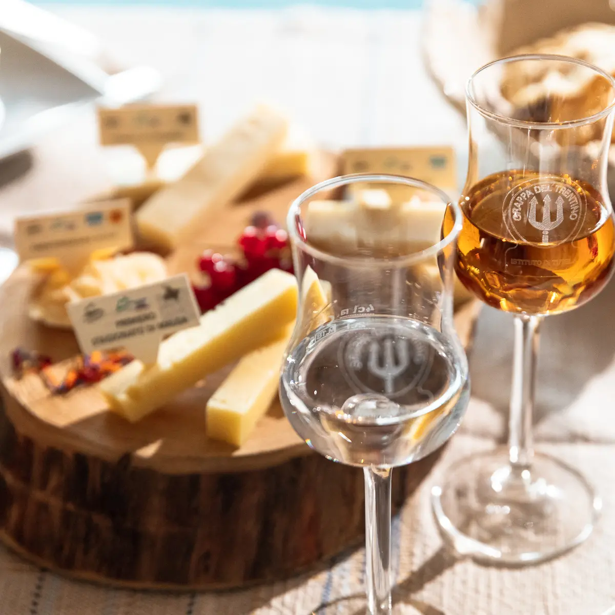Grappa Ig, il messaggio dell’Istituto Tutela Grappa del Trentino: «Ora parliamo al consumatore, non solo alla tradizione»