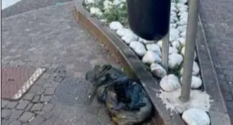 Trento, lascia i sacchi in strada: sanzione di mille euro