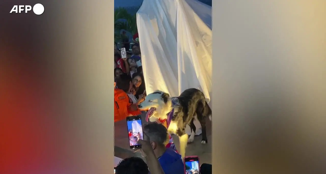 Venezuela, svelata una statua in onore del cane da soccorso durante i terremoti