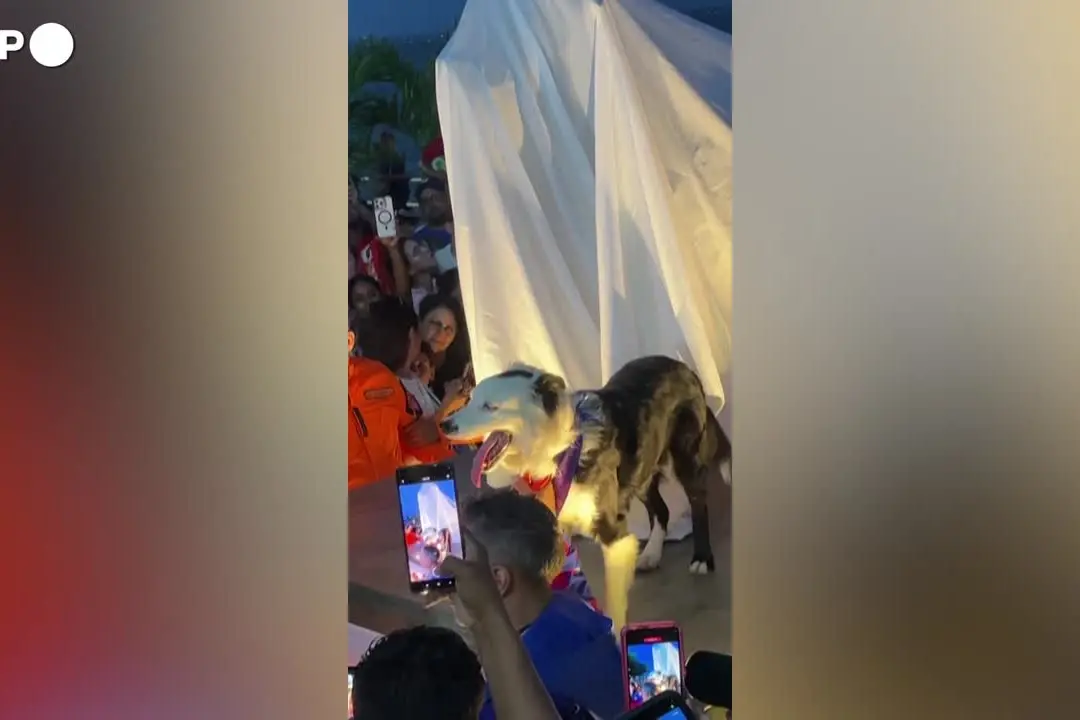 Venezuela, svelata una statua in onore del cane da soccorso durante i terremoti
