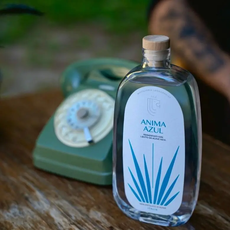 Anima Azul, dalle Dolomiti il distillato che porta l’agave messicana in Trentino