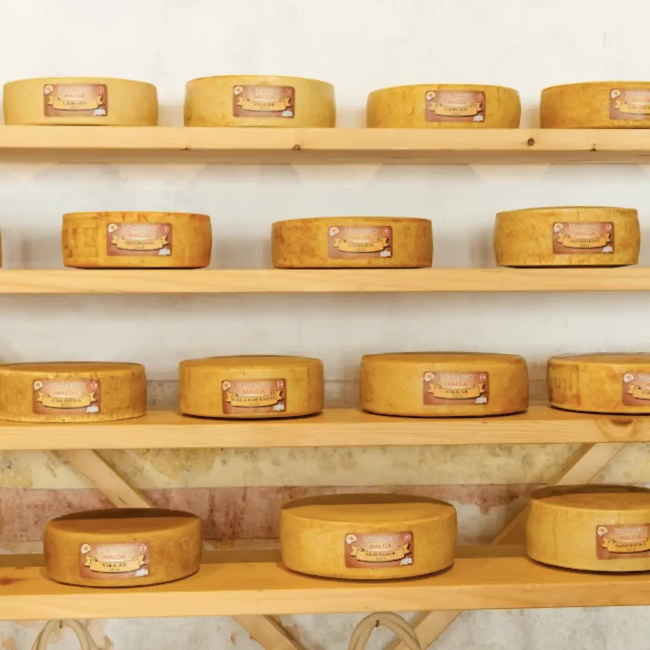 Formaggi di malga, a Caldes l’asta premia 22 forme: una arriva a 460 euro