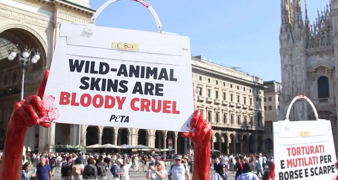 Milano Fashion Week, Peta contesta l'uso della pelle nella moda