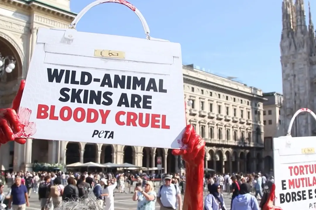 Milano Fashion Week, Peta contesta l'uso della pelle nella moda