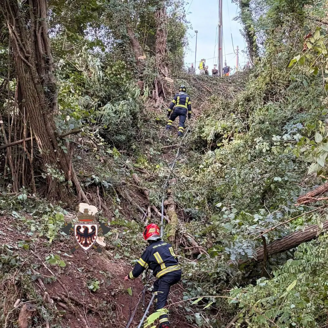 Civezzano, si ferisce durante i lavori nel bosco: soccorsi in una zona impervia