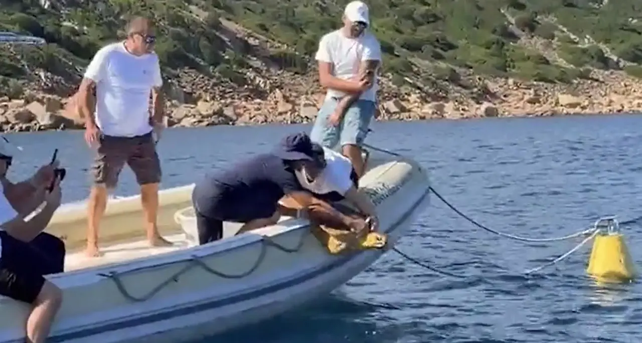 Sardegna, Amp Tavolara: curata e rimessa in mare una tartaruga Caretta Caretta