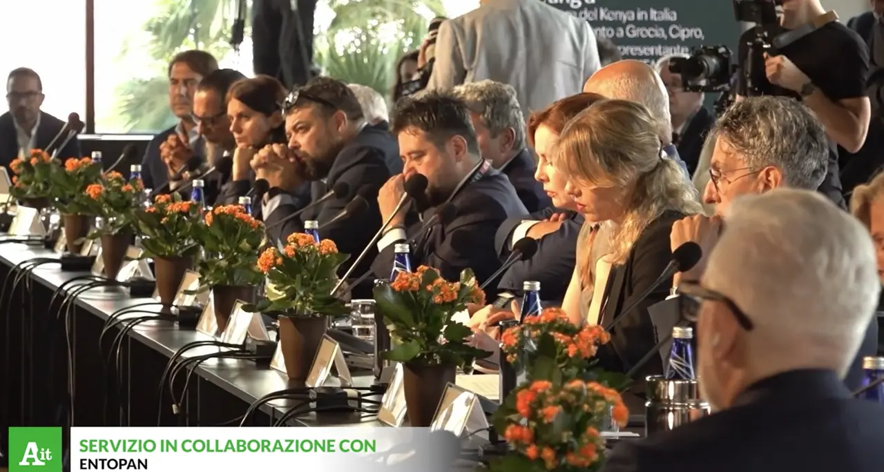 Le sfide dell'IA all'Harmonic Innovation Hub