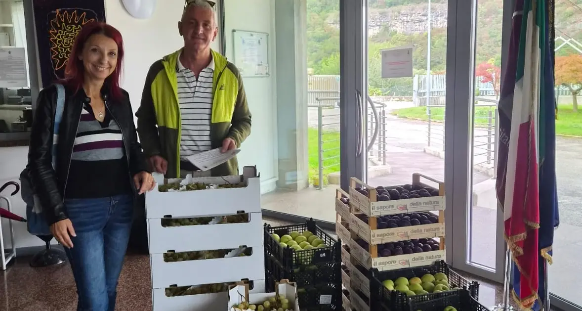Commercio abusivo ad Ala, sequestrati oltre 100 chili di frutta