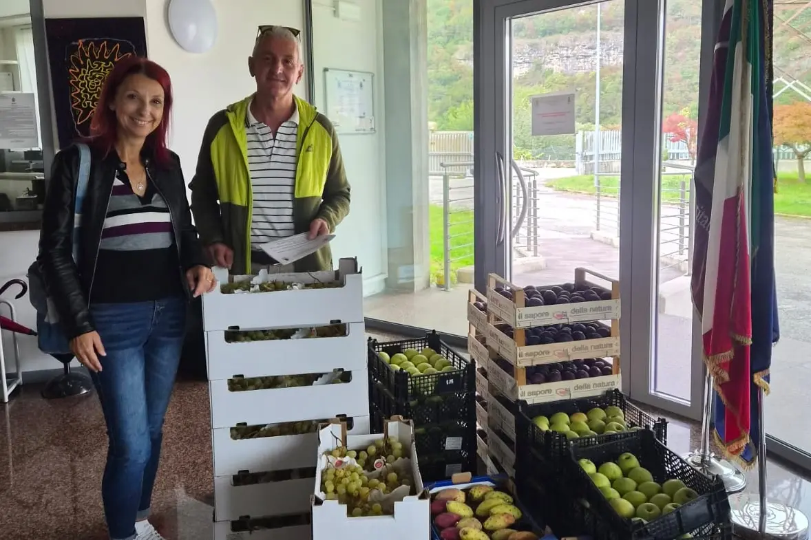 Commercio abusivo ad Ala, sequestrati oltre 100 chili di frutta
