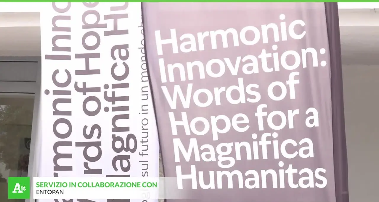 Una piattaforma per l’innovazione armonica