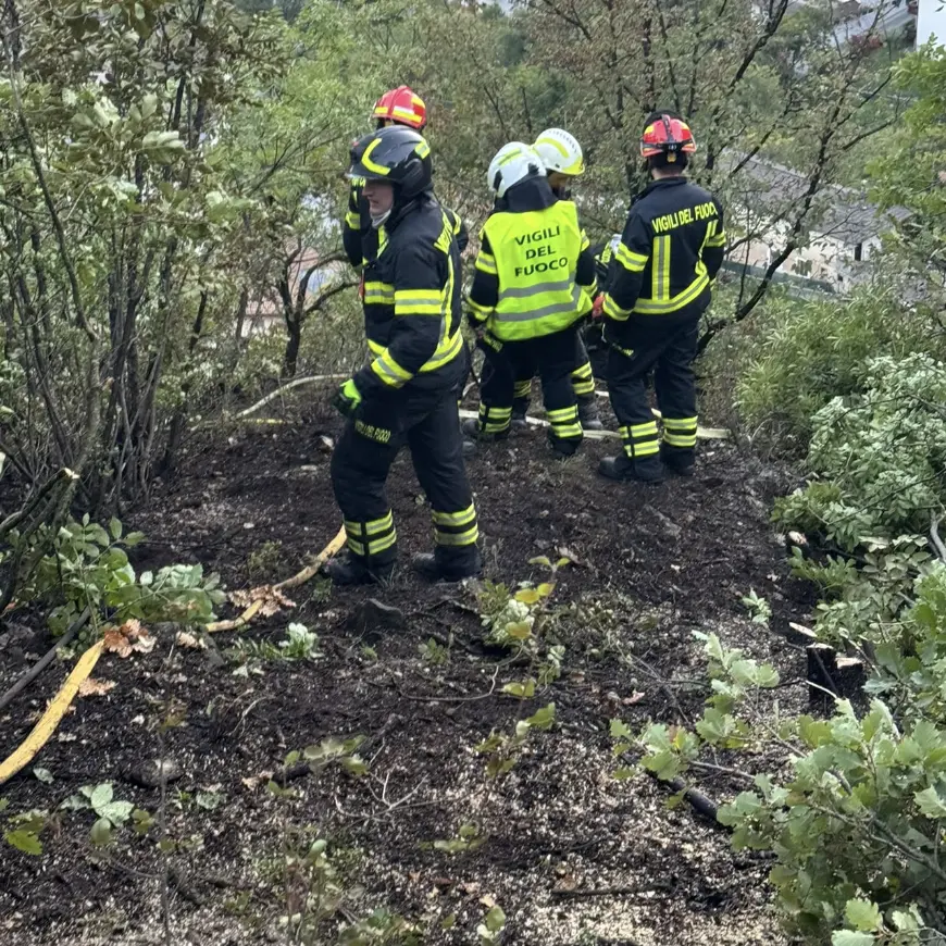 Incendio sopra Roveré della Luna, lungo intervento dei vigili del fuoco