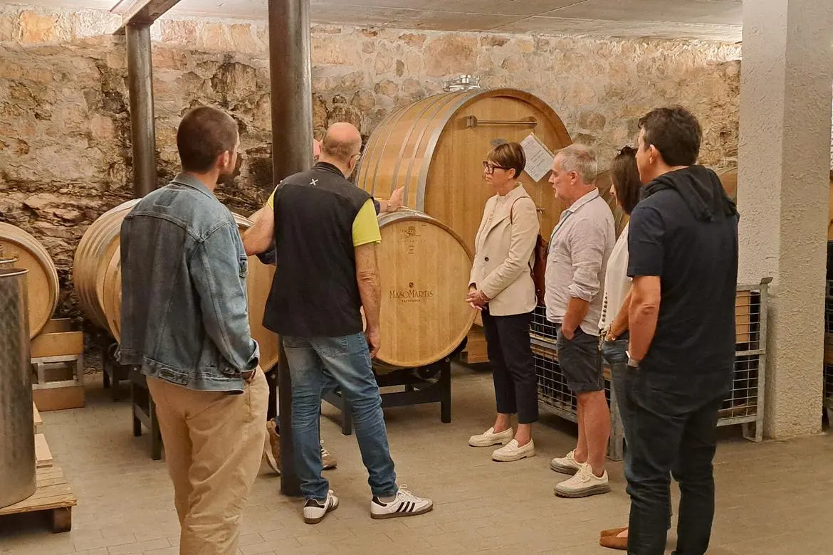 Trentodoc, il viaggio nelle cantine