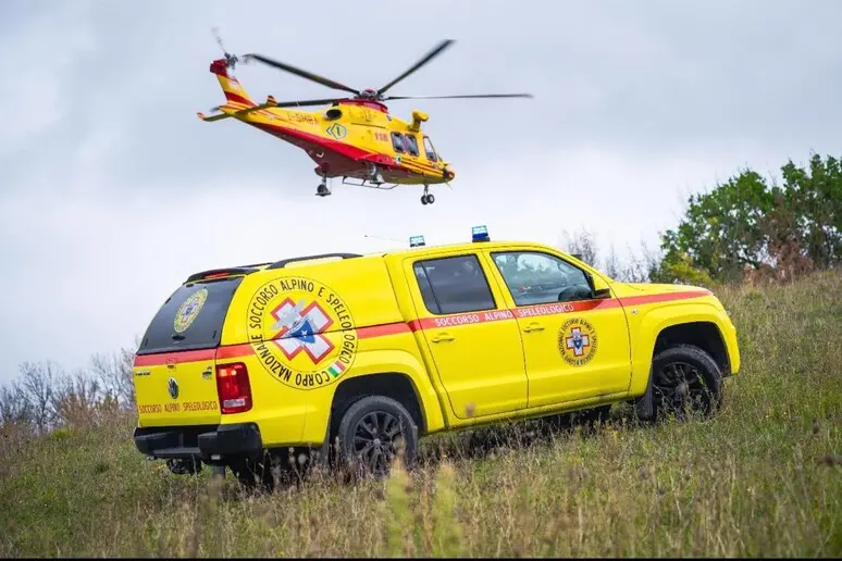 Vipera morde un’escursionista in montagna: scatta l’allarme, donna in ospedale