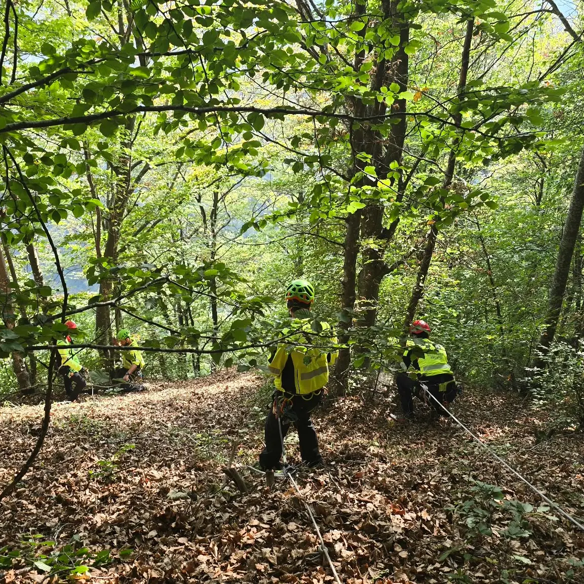 Lagolo, fungaiolo di 76 anni disperso: ritrovato vivo dopo una notte nel bosco