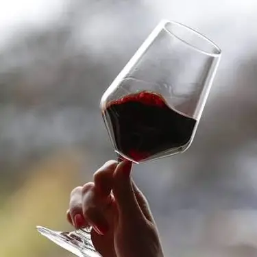 Dalle api all’acqua, il vino trentino misura quanto è davvero sostenibile