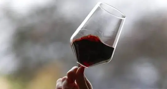 Dalle api all’acqua, il vino trentino misura quanto è davvero sostenibile