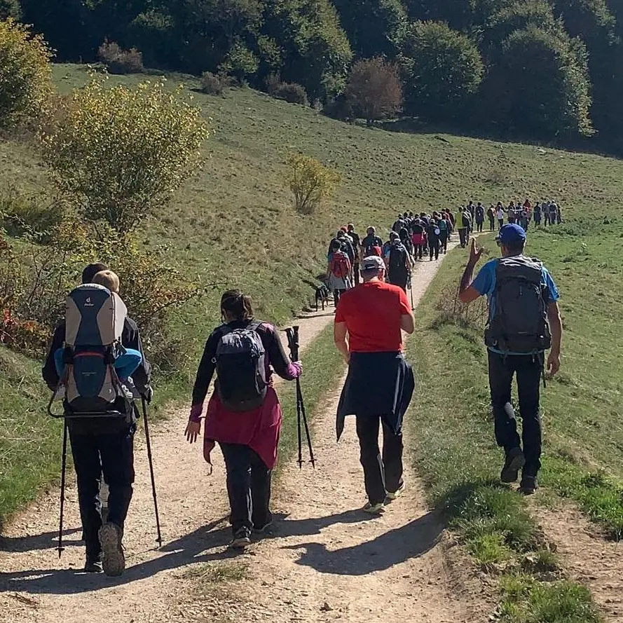 Donatori, famiglie e bambini: CamminAvis fa il pieno a Sega di Ala