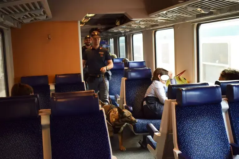 In otto senza biglietto sul treno, uno si scaglia contro gli agenti e li morde