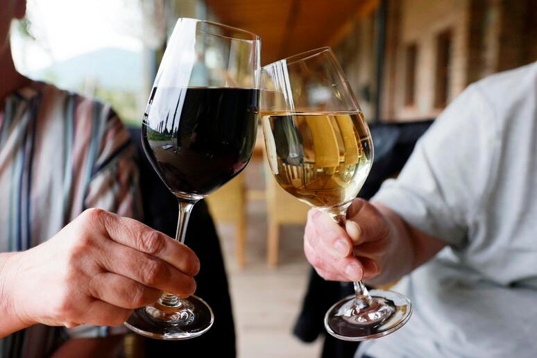 Merano WineFestival, al via la 35ª edizione: nel 2027 nasce lOsservatorio sul futuro del vino