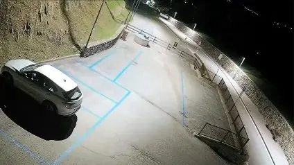 Orso nel parcheggio del municipio di Ossana