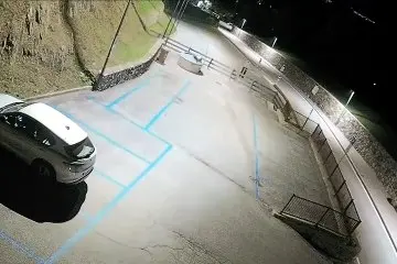 Orso nel parcheggio del municipio di Ossana