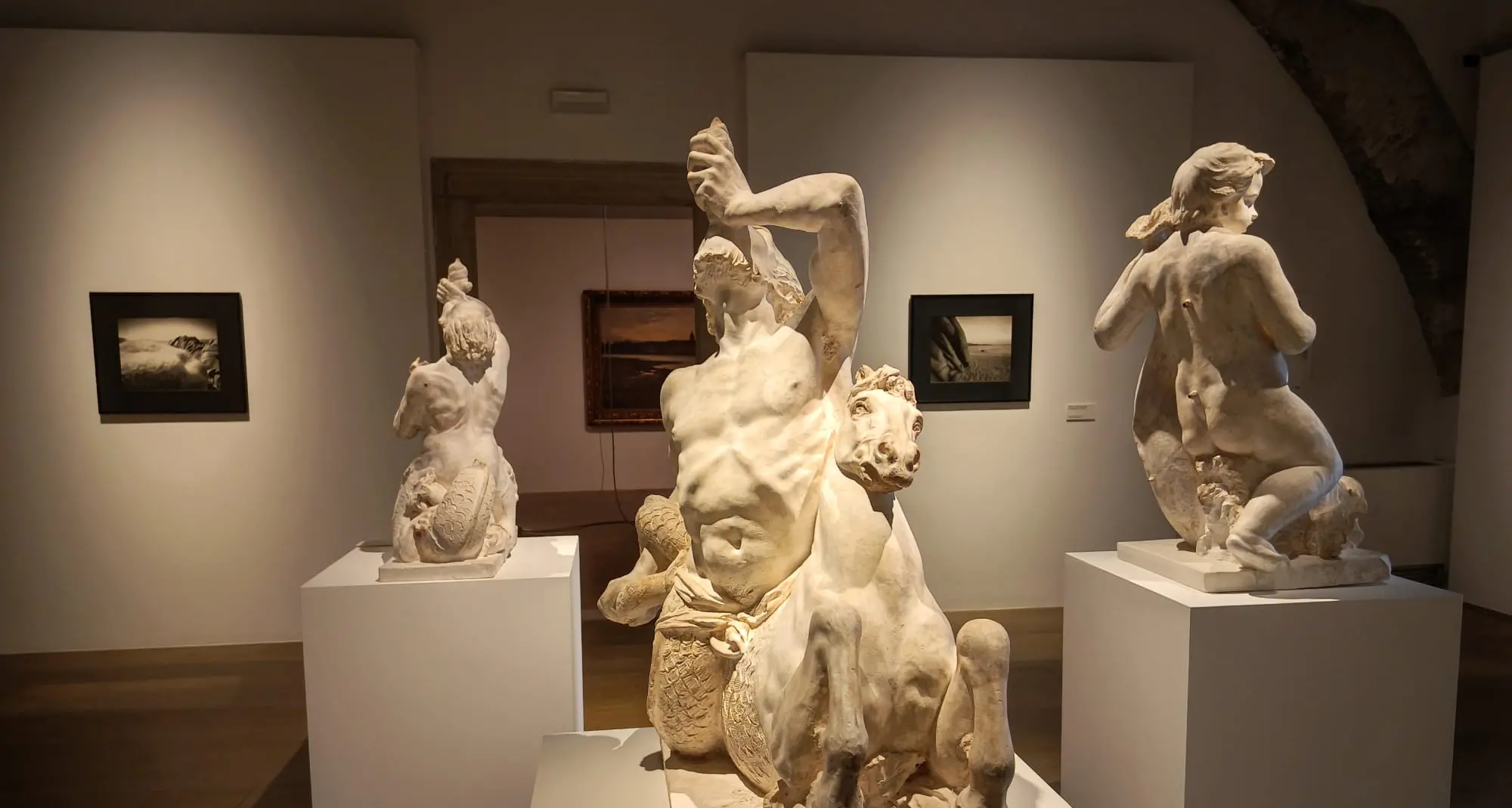 Water Flow, l’acqua tra arte e scienza: a Palazzo delle Albere una mostra internazionale