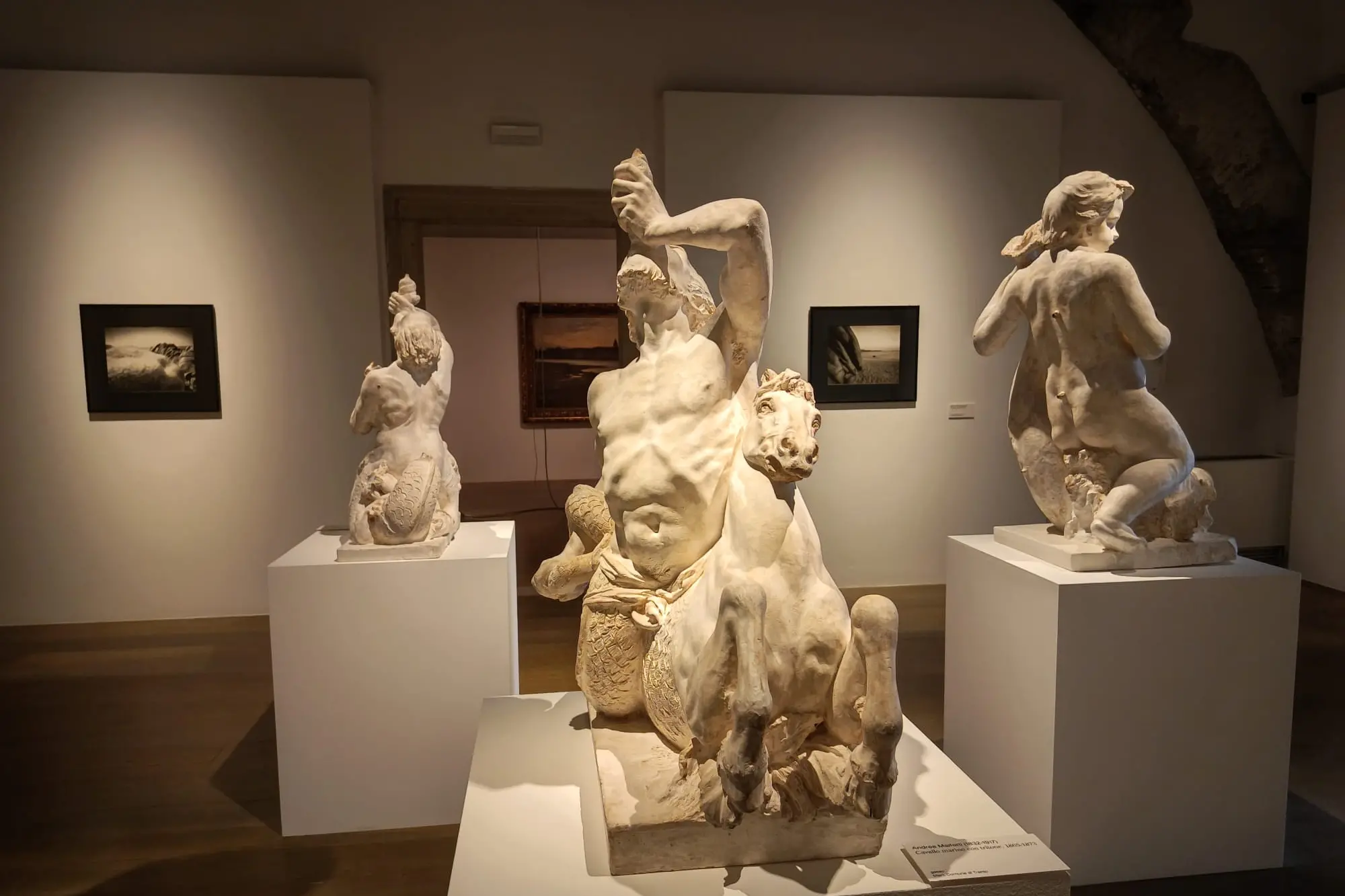 Water Flow, l’acqua tra arte e scienza: a Palazzo delle Albere una mostra internazionale