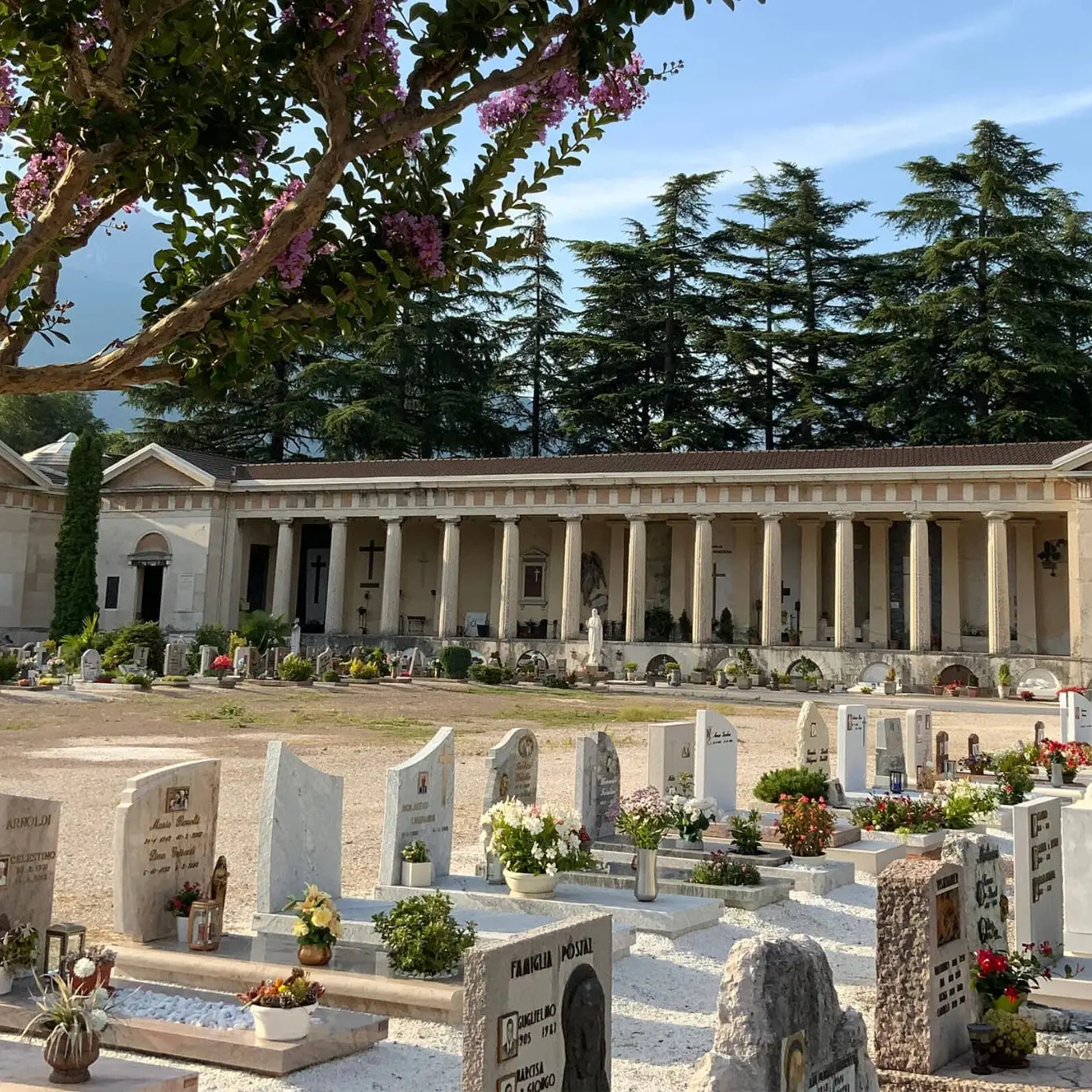 Conigli al cimitero di Trento, scatta il piano di cattura: saranno trasferiti in oasi faunistiche
