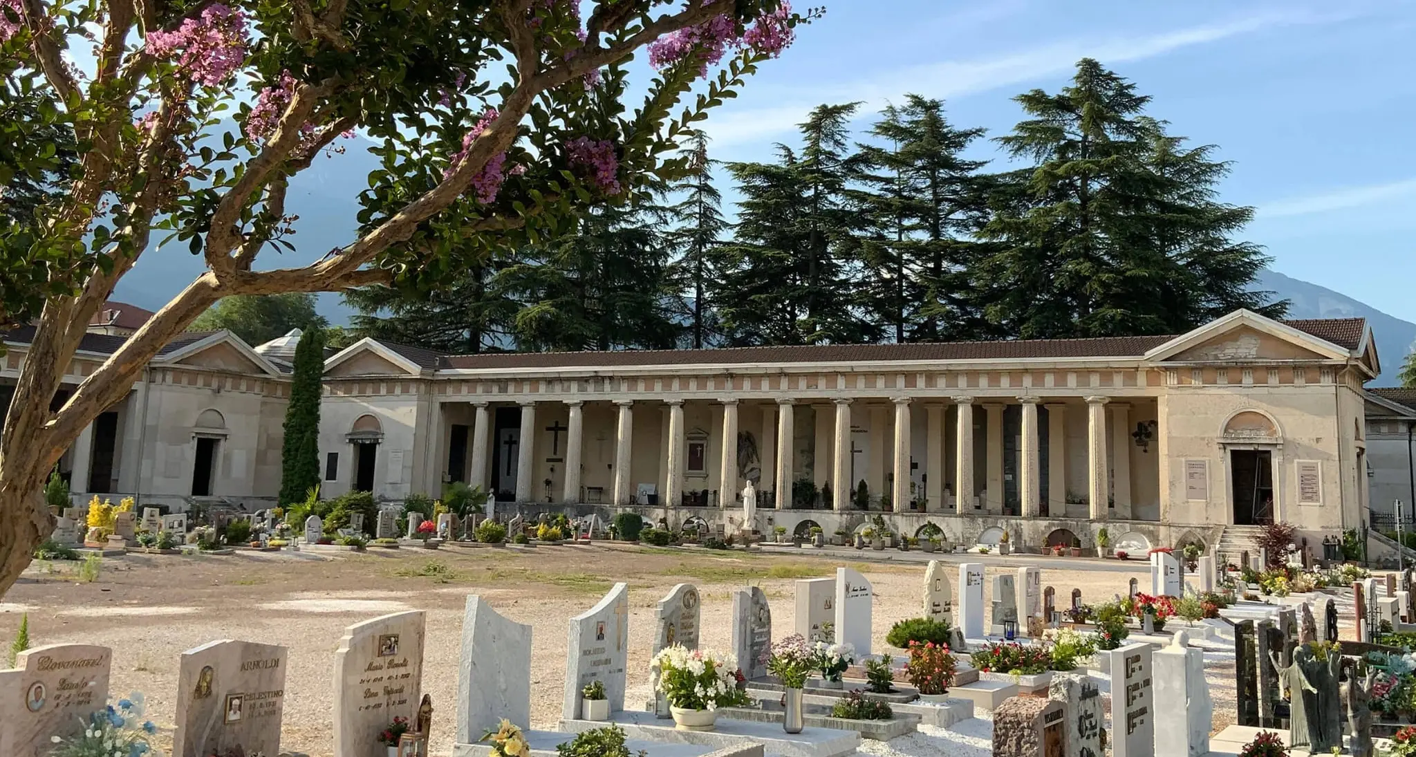 Conigli al cimitero di Trento, scatta il piano di cattura: saranno trasferiti in oasi faunistiche