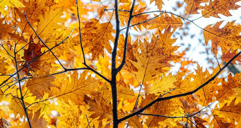 Si apre una settimana all'insegna del sole: ecco quanto durerà