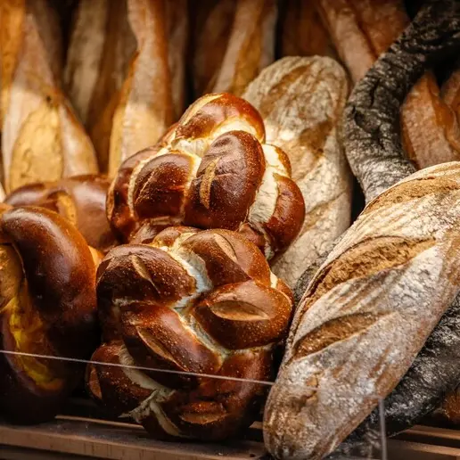 Profumo di pane trentino, i giovani panificatori protagonisti tra tradizione e innovazione