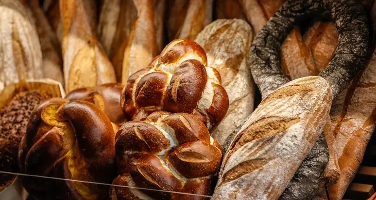 Profumo di pane trentino, i giovani panificatori protagonisti tra tradizione e innovazione