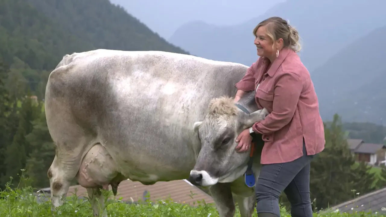 Filiera del latte, il ruolo strategico delle donne in Alto Adige