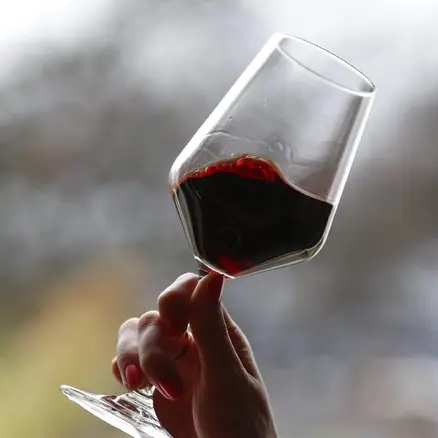 Trentino, un weekend tra cantine, degustazioni e passeggiate: torna DiVin Ottobre