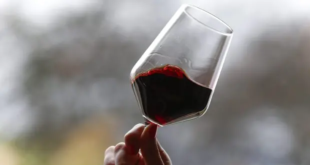 Trentino, un weekend tra cantine, degustazioni e passeggiate: torna DiVin Ottobre