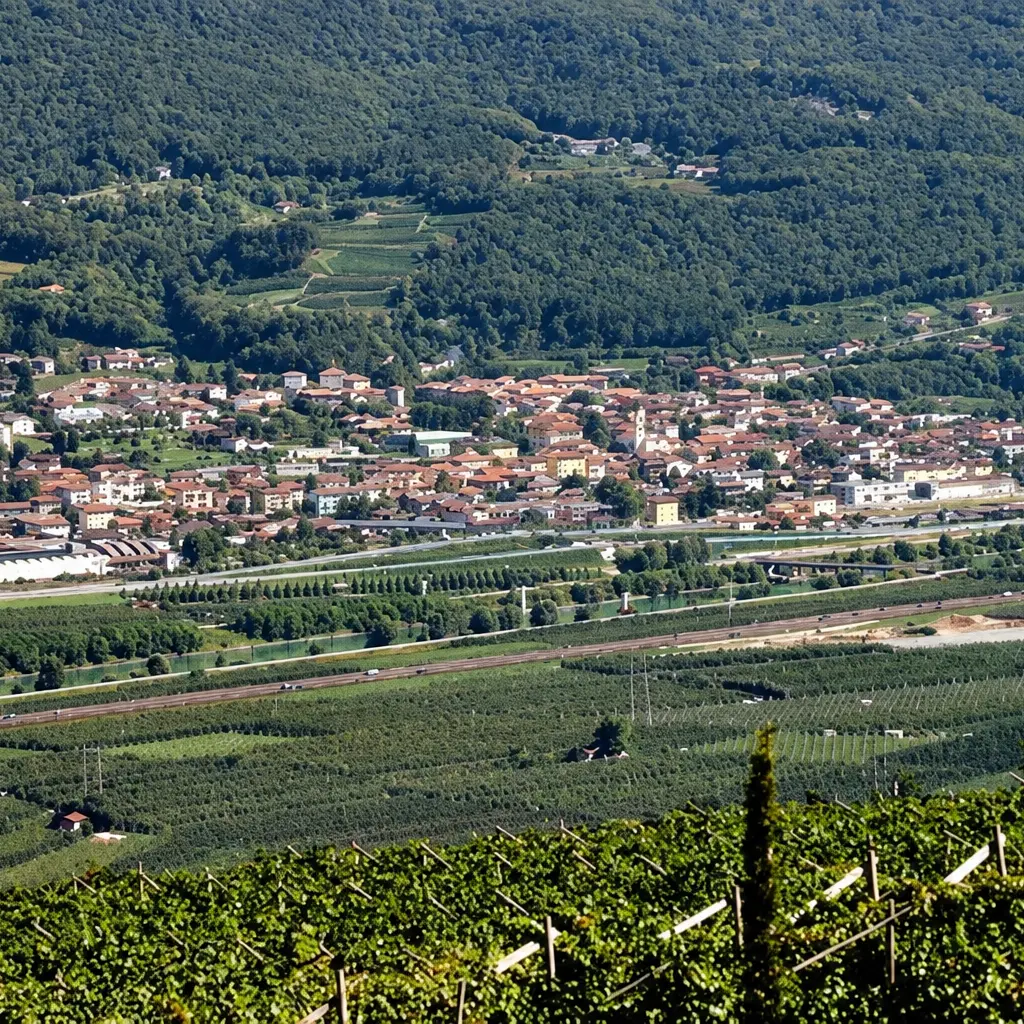 Zona 30 a Mattarello, il Comune replica a Nicolli: «Il progetto è stato condiviso»