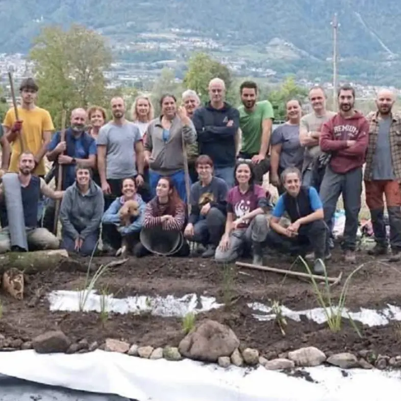 Uno stagno per tritoni, rane e libellule nell’area abbandonata di Santa Margherita