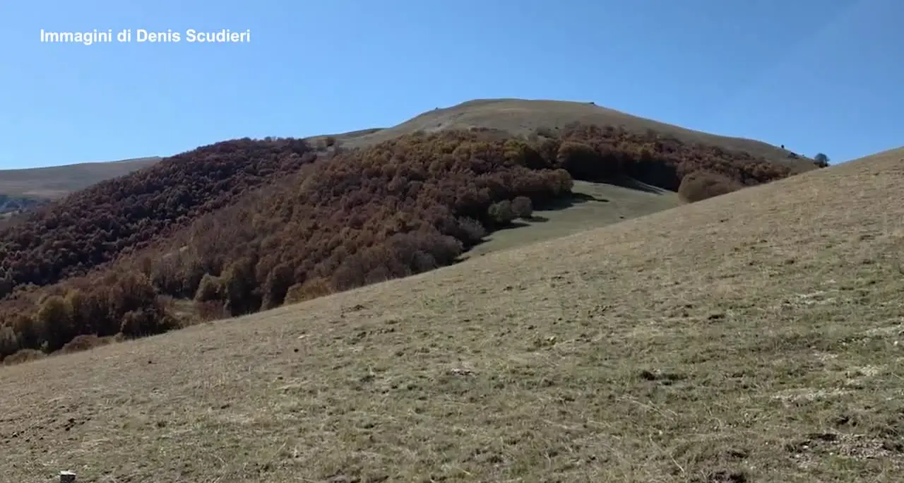 Il monte Faito a Introdacqua si “colora” con il foliage autunnale