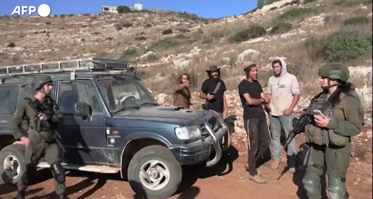 La raccolta delle olive in Cisgiordania sorvegliata da soldati e coloni israeliani