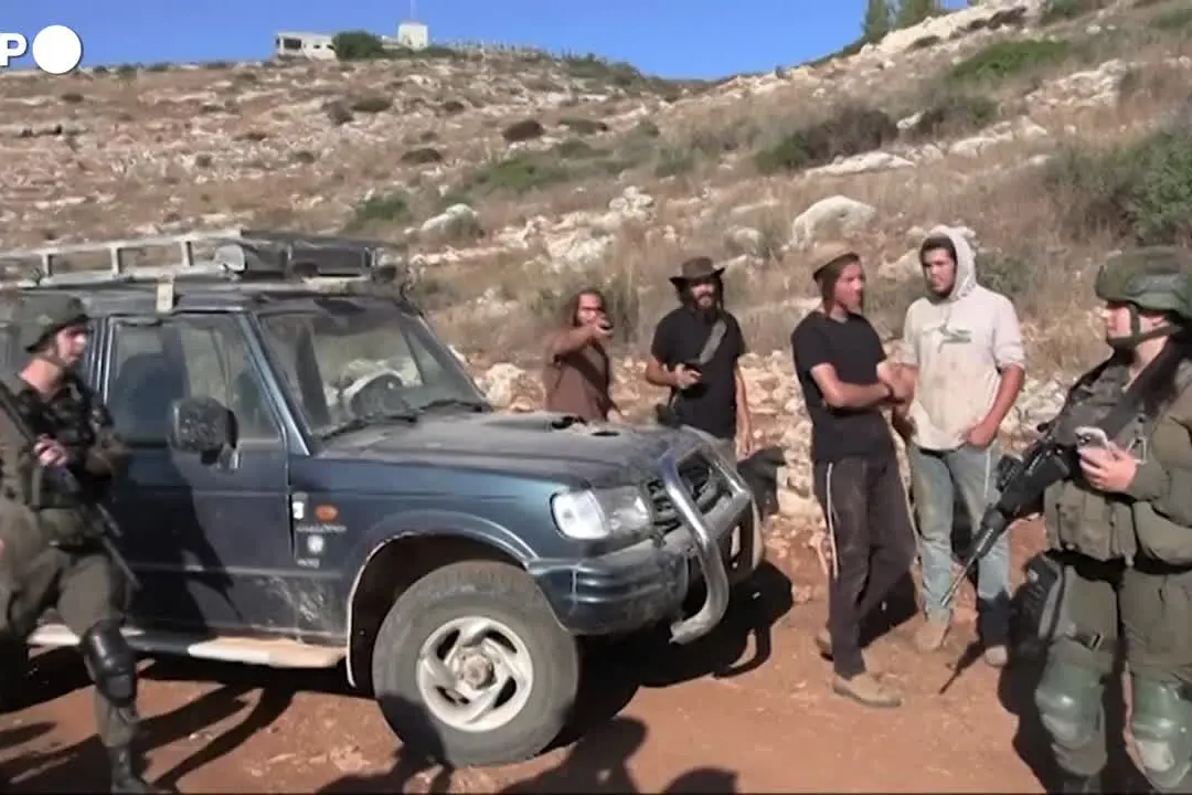 La raccolta delle olive in Cisgiordania sorvegliata da soldati e coloni israeliani