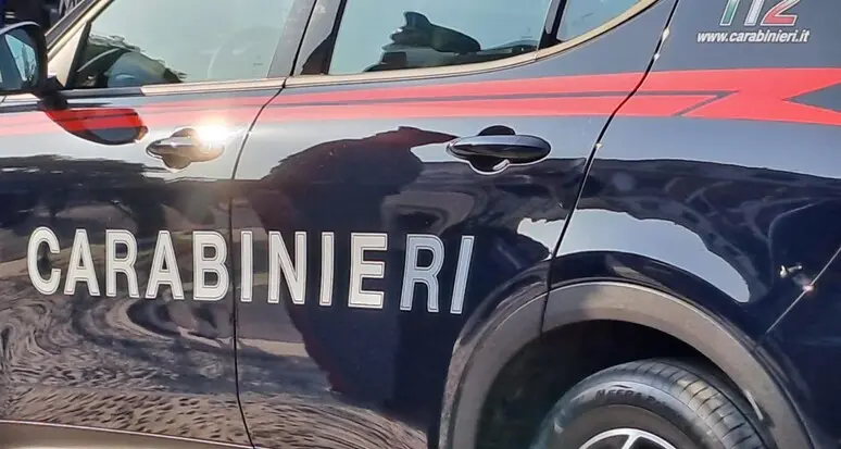 Maxi blitz tra Trentino e Germania: 26 misure cautelari