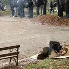 Trento, disordini durante la manifestazione studentesca: cinque minorenni in Questura