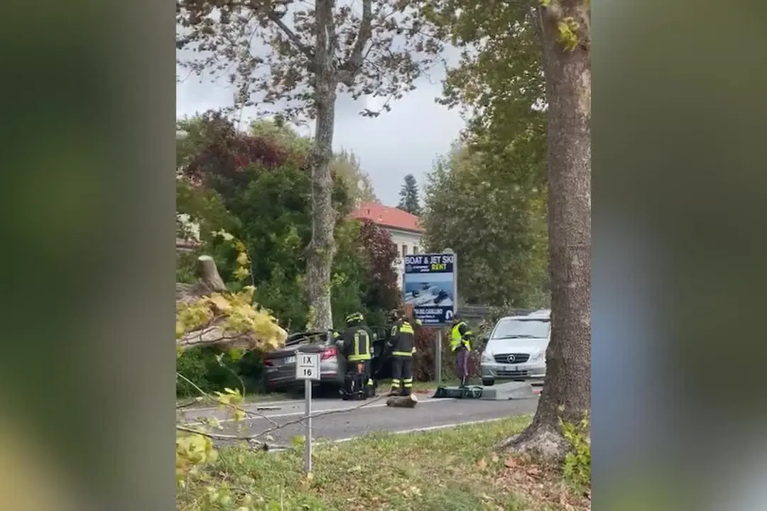 Per il maltempo crolla un albero su un'auto, morto militare 46enne